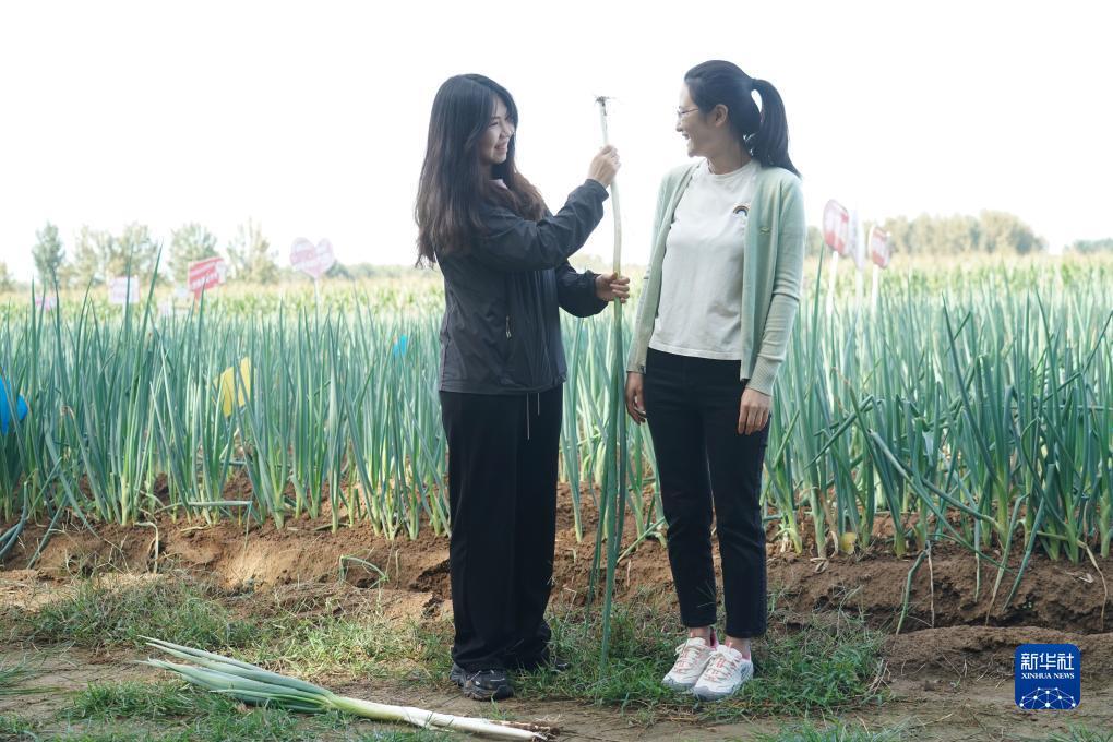 美高梅游戏平台网站